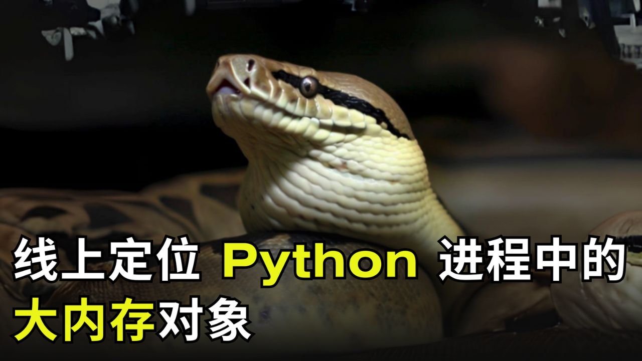 线上定位 Python 进程中的大内存对象（使用 OpenResty XRay）