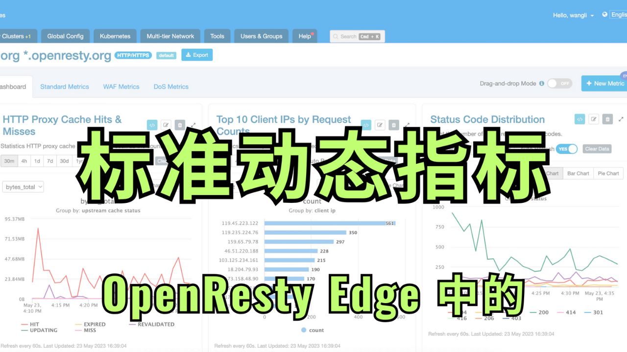如何在 OpenResty Edge 中使用标准动态指标