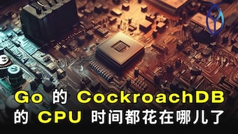 CPU 时间是如何耗费在 Go 的 CockroachDB 中的（使用 OpenResty XRay）