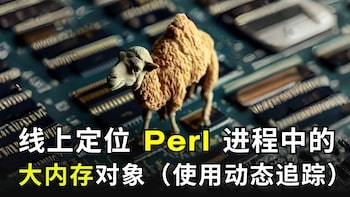 线上定位 Perl 进程中的大内存对象（使用 OpenResty XRay）