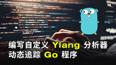 編寫自定義 Ylang 分析器動態追蹤 Go 程式（使用 OpenResty XRay）
